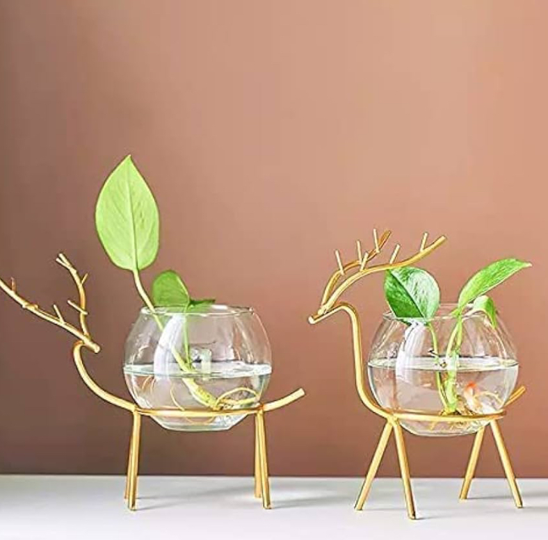Glasses Planter